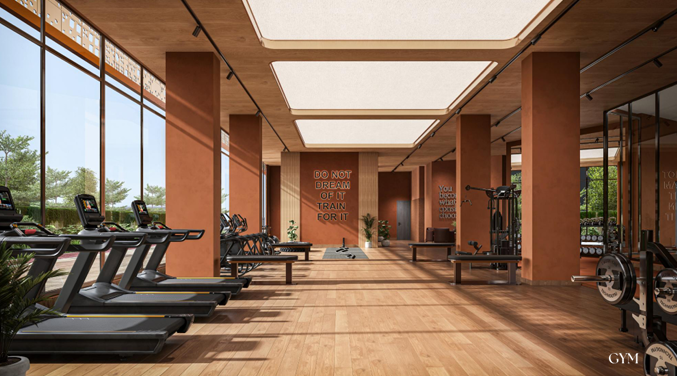 Modern gym